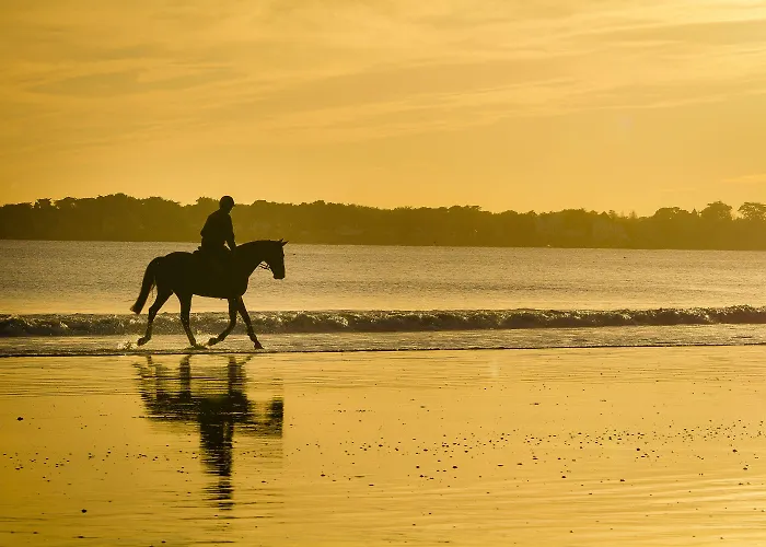 Bo & Mia ホテル La Baule